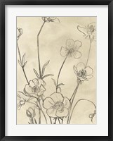 Vintage Wildflowers I Framed Print
