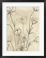 Vintage Wildflowers II Fine Art Print