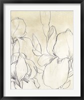 Iris Garden Sketch I Fine Art Print