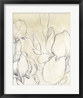 Iris Garden Sketch I Framed Print