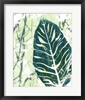 Palm Pastiche III Framed Print