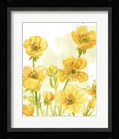 Sunshine Meadow I Framed Print