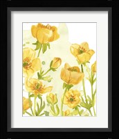 Sunshine Meadow II Framed Print