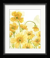 Sunshine Meadow III Framed Print