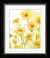Sunshine Meadow IV Framed Print