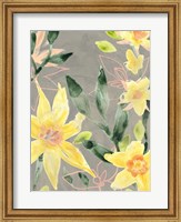 Narcissus Fresco I Fine Art Print