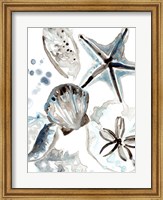 Cerulean Seashells I Fine Art Print