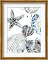 Cerulean Seashells II Fine Art Print