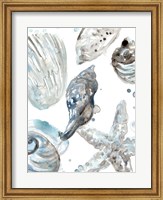 Cerulean Seashells III Fine Art Print