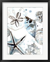 Cerulean Seashells IV Framed Print