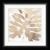 Neutral Palm Fossil V Framed Print