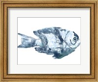 Blue Ocean Fish III Fine Art Print