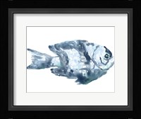 Blue Ocean Fish III Framed Print