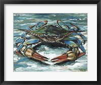 Blue Palette Crab II Fine Art Print