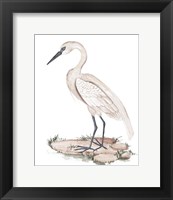A White Heron I Fine Art Print
