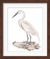 A White Heron I Fine Art Print