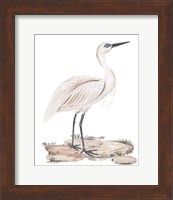 A White Heron II Fine Art Print