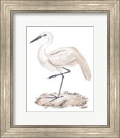A White Heron III Fine Art Print