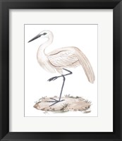 A White Heron III Fine Art Print