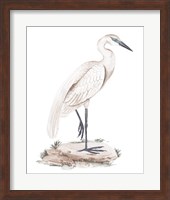 A White Heron IV Fine Art Print