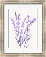Lavender Land I Fine Art Print
