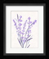 Lavender Land I Fine Art Print