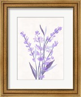Lavender Land II Fine Art Print