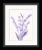 Lavender Land II Fine Art Print