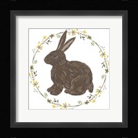 Happy Bunny Day II Framed Print