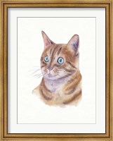 Orange Cat II Fine Art Print