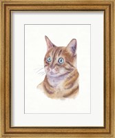 Orange Cat II Fine Art Print