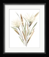 Modest Pedicle II Framed Print