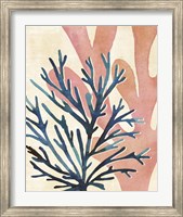 Chromatic Sea Tangle I Fine Art Print