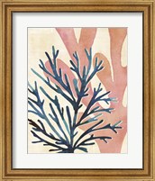 Chromatic Sea Tangle I Fine Art Print