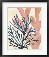 Chromatic Sea Tangle I Framed Print