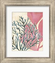 Chromatic Sea Tangle III Fine Art Print