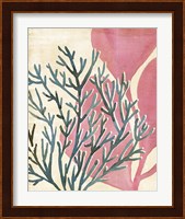Chromatic Sea Tangle III Fine Art Print