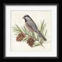 Pine Branch II Framed Print