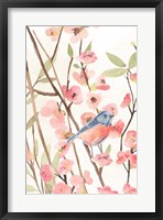 Cherry Blossom Perch I Framed Print