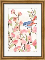 Cherry Blossom Perch II Fine Art Print