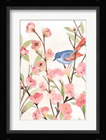 Cherry Blossom Perch II Framed Print