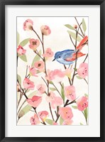 Cherry Blossom Perch II Framed Print