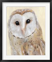 Common Barn Owl I Fine Art Print