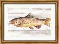 Spotted Trout I Fine Art Print