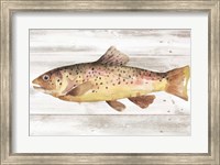 Spotted Trout I Fine Art Print