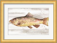 Spotted Trout I Fine Art Print