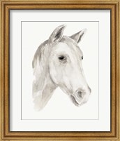 Ivory Stallion I Fine Art Print