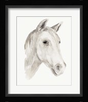 Ivory Stallion I Framed Print