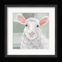 Cotton Ball II Fine Art Print