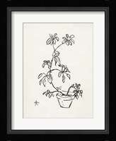 Floral Ink Study I Framed Print